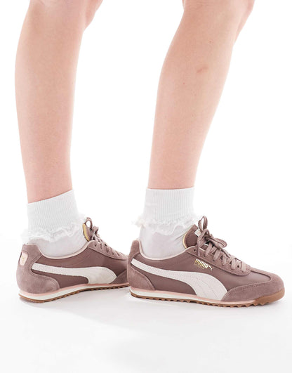 Arizona Trainers
