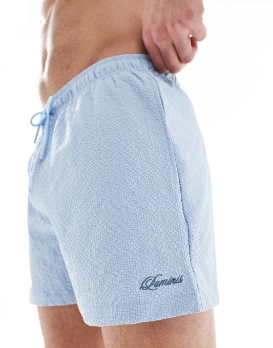 Seersucker Swim Trunks