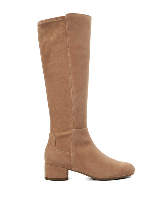 Tayla Suede Knee High Boots