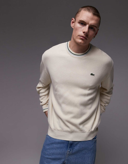 Long Sleeve Crewneck Jumper