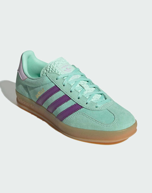 Gazelle Indoor Trainers