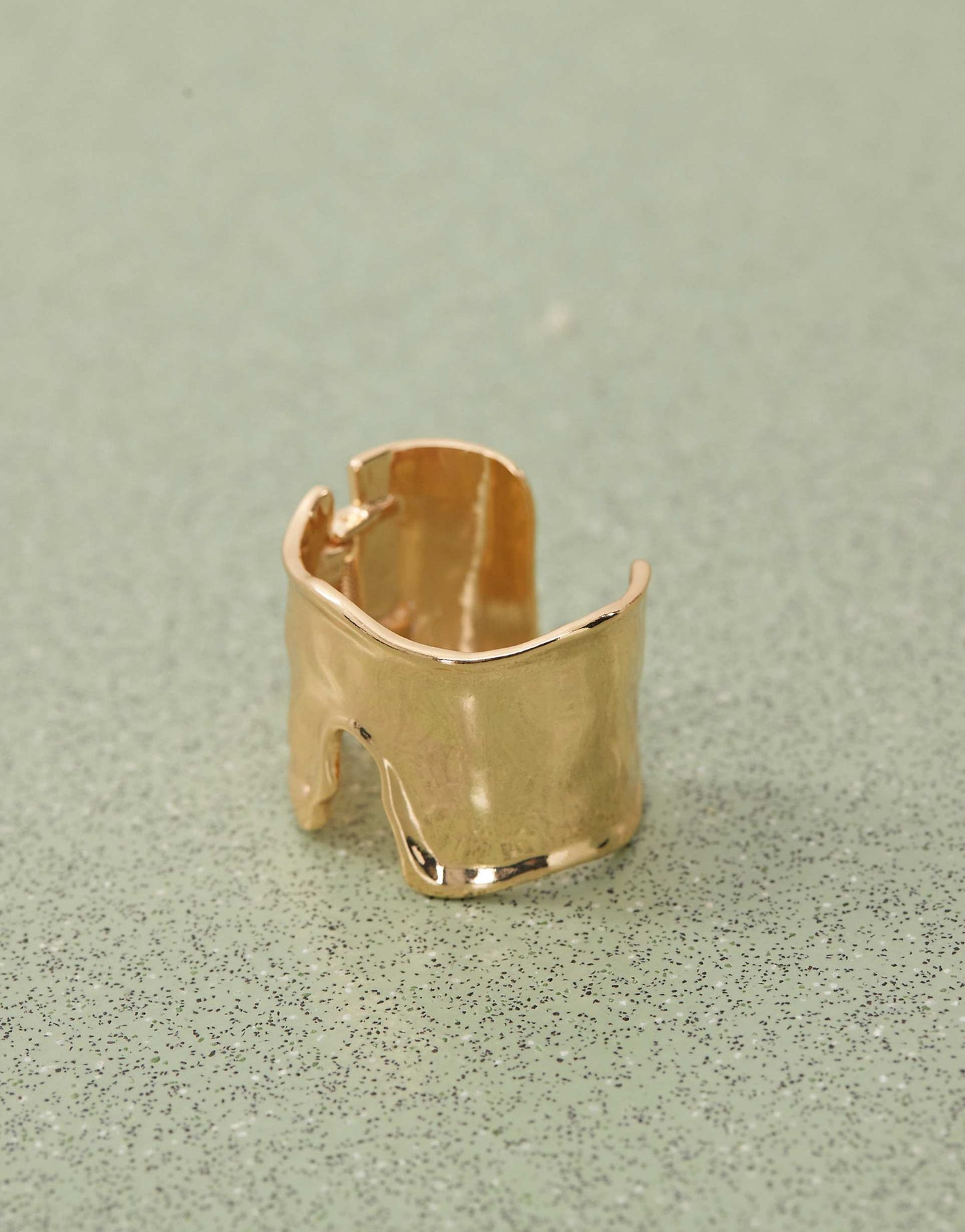 Bone Bangle