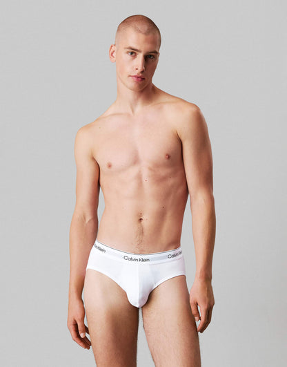 Icon Cotton Stretch 3 Pack Hip Briefs