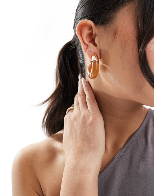 Hoop Earrings With Brown Resin Detail