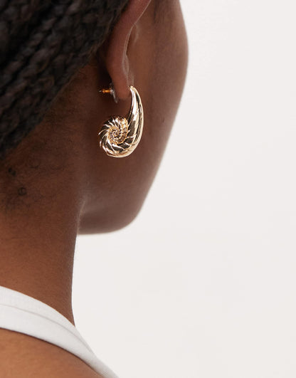 Chubby Hoop Shell Earrings