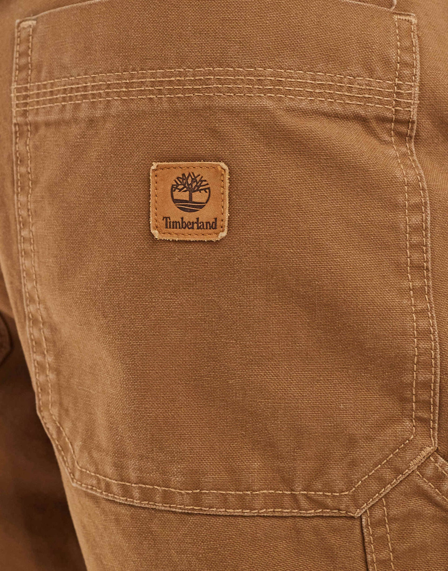Washed Canvas Carpenter Pant