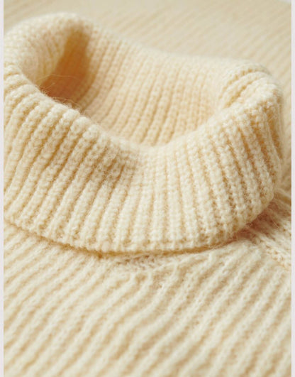 Knitted Roll Neck Jumper Dress