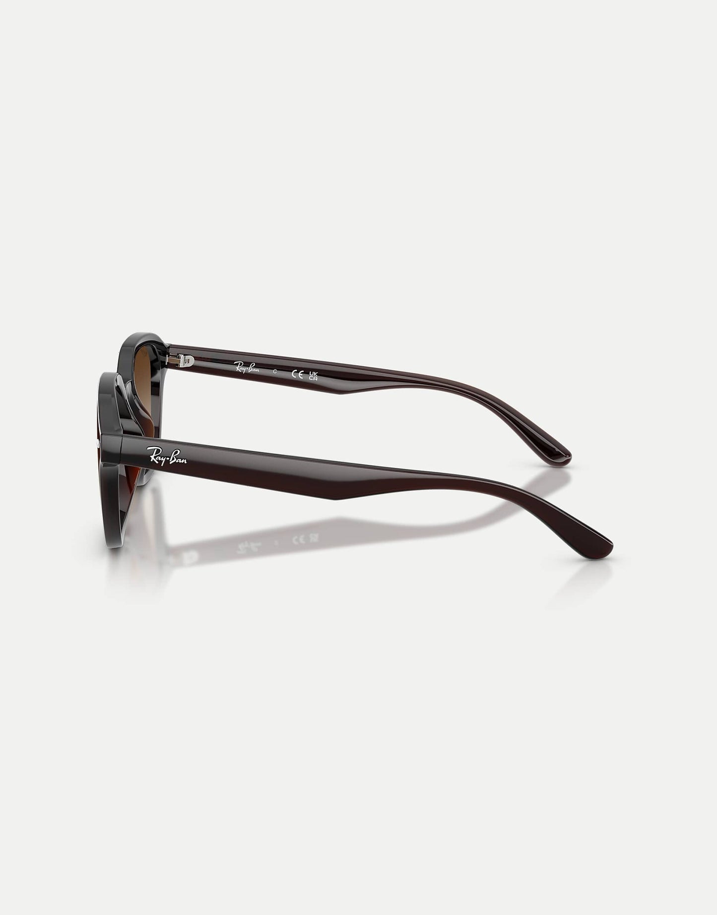 Rb4458D Square Sunglasses With Brown Lens