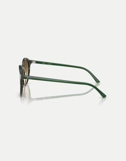 Bernard Phantos Sunglasses With Brown Lens