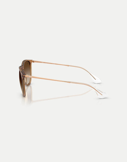 Erika Classic Phantos Sunglasses With Brown Lens