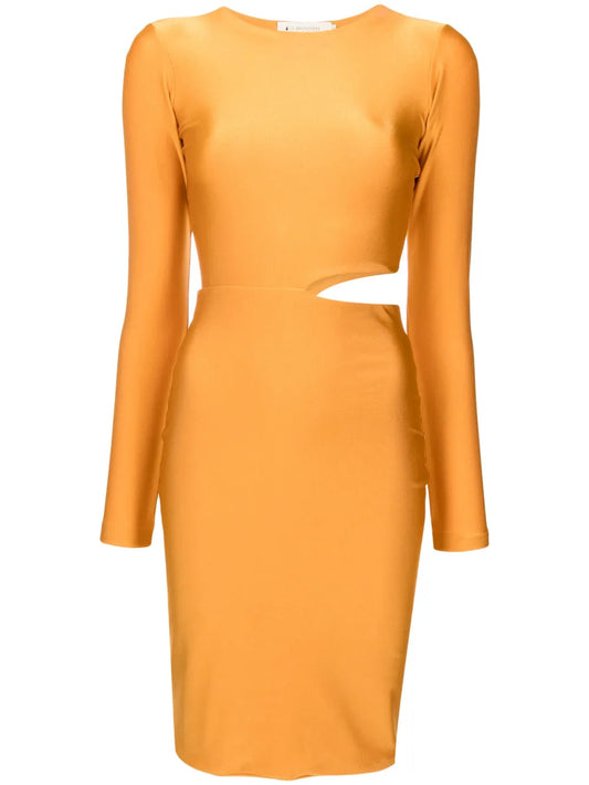 Sophia Cut-Out Bodycon Dress