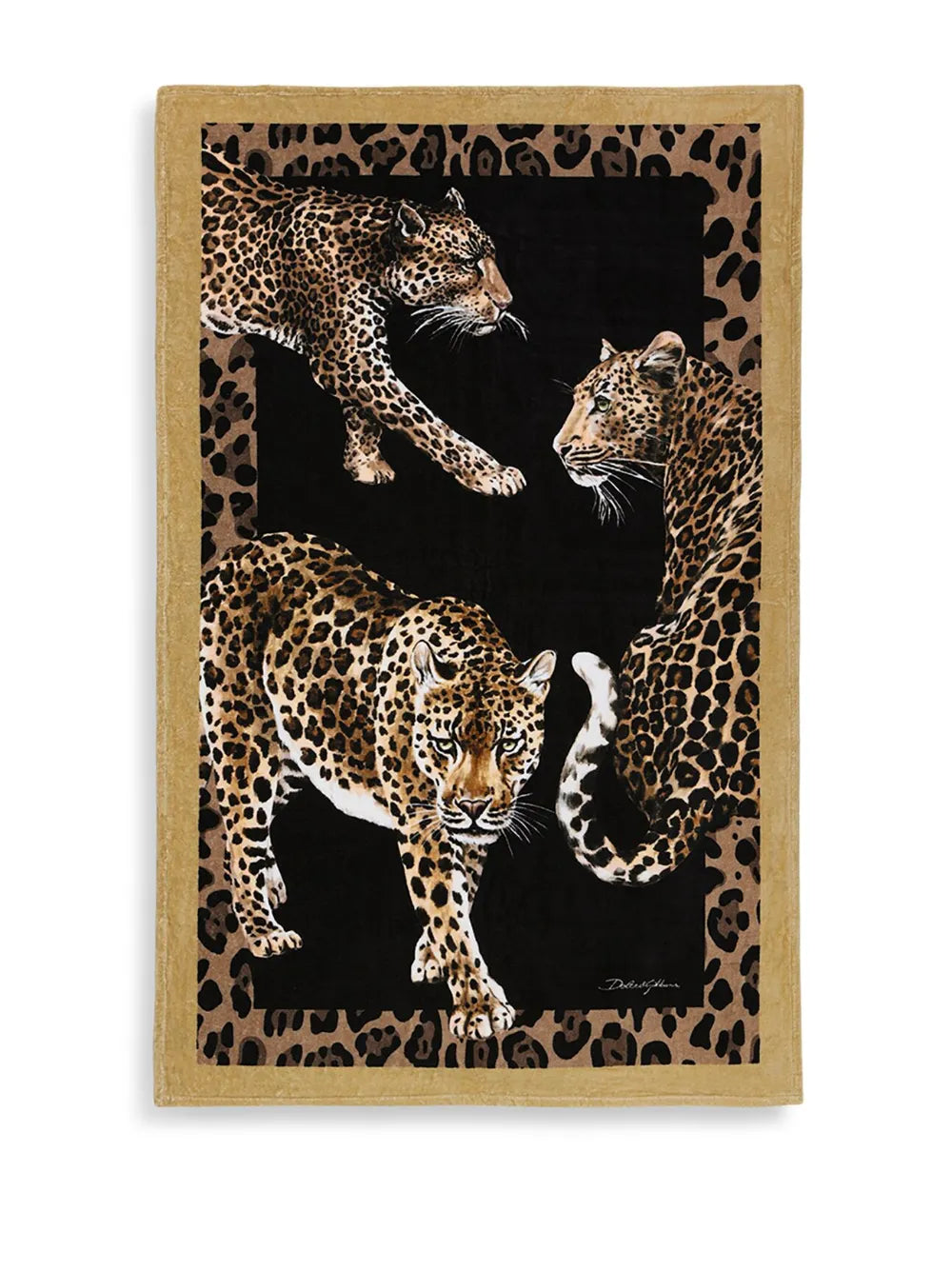 Terry Cotton Beach Towel
