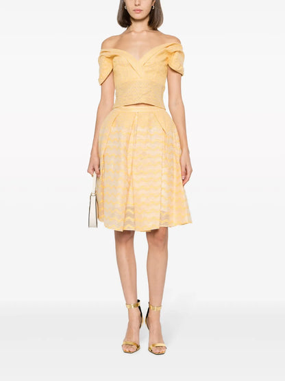 Semi-Sheer Pleated Miniskirt