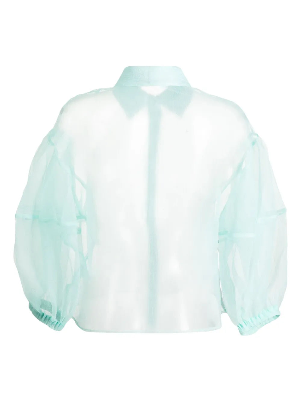 Sheer Organza Shirt