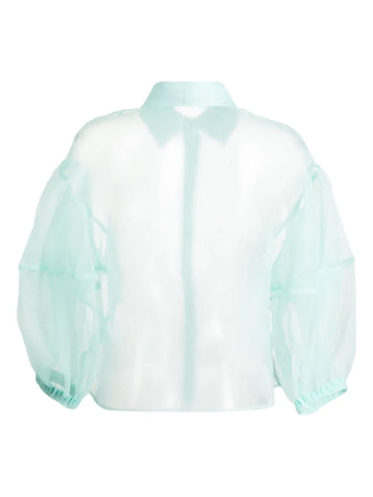 Sheer Organza Shirt