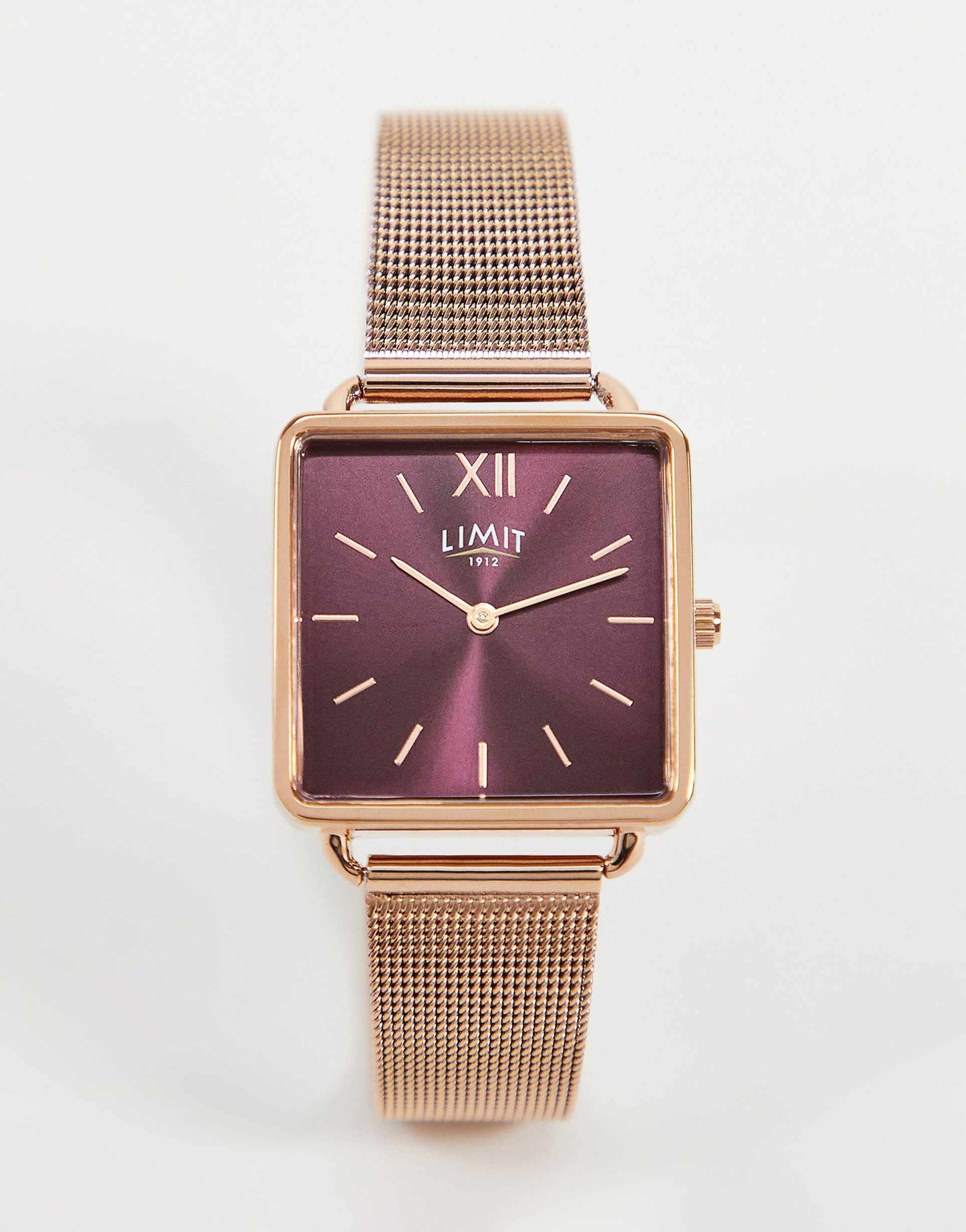 Square Mesh Watch