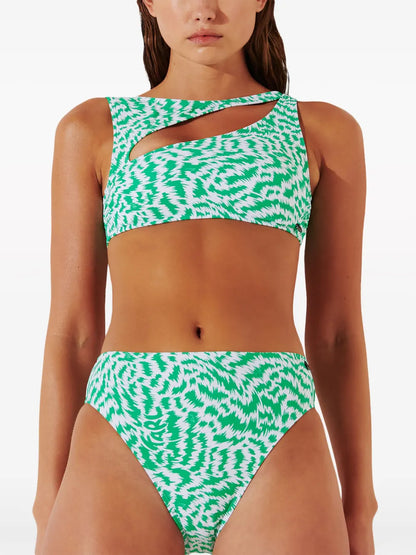 Animal-Print High-Rise Bikini Bottoms