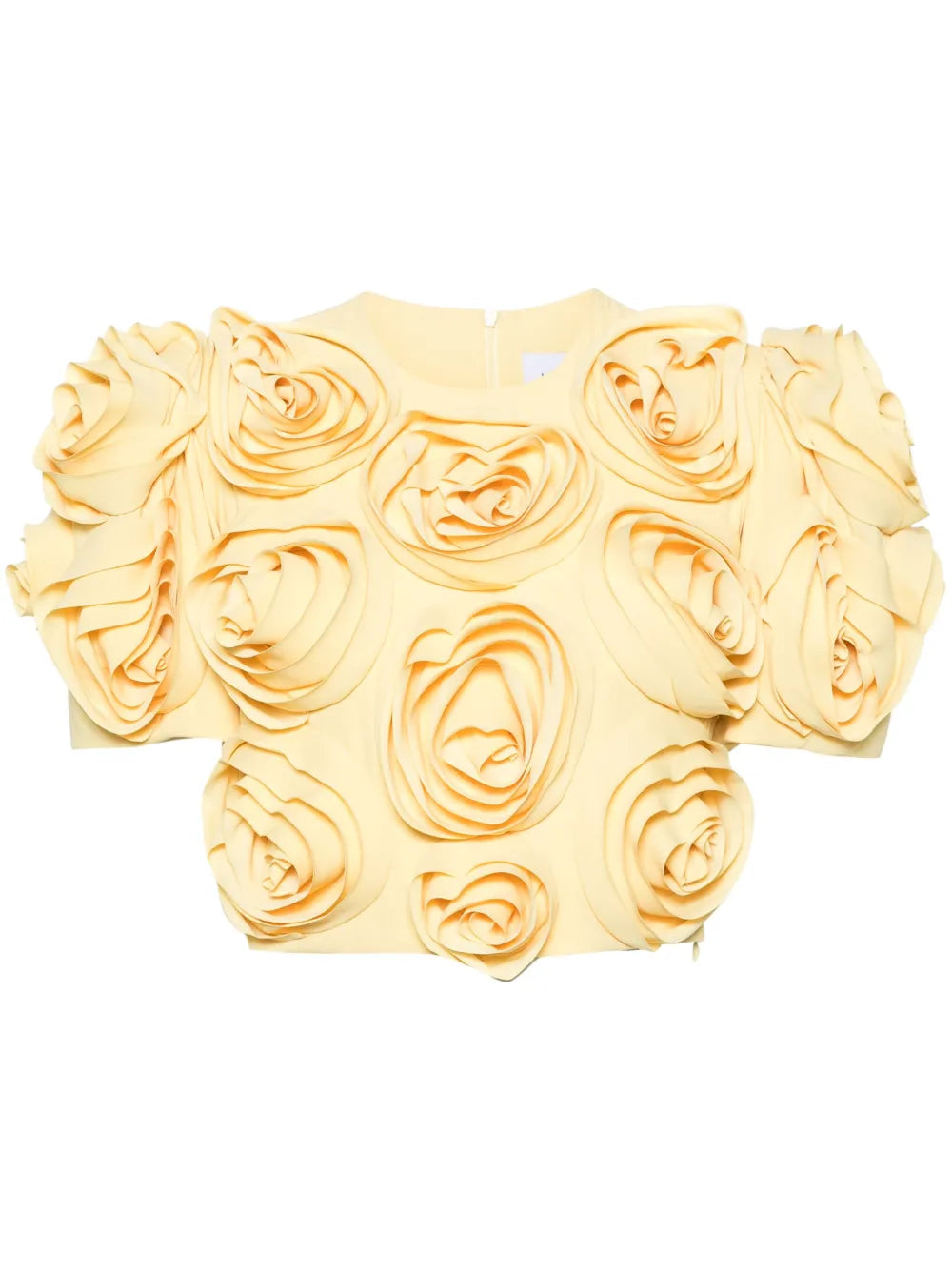 Rose-Appliqué Cropped Top