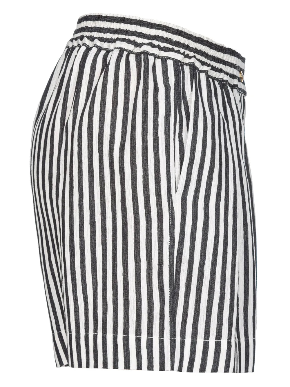 Striped Pleated Shorts