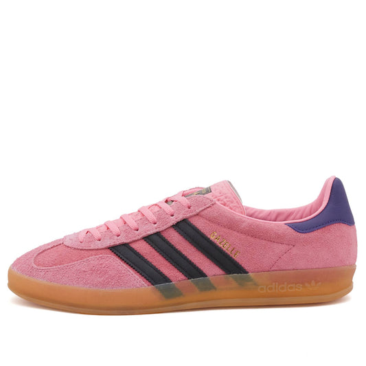 Gazelle Indoor