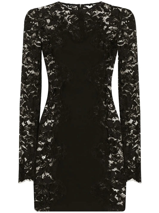 Semi-Sheer Lace Minidress