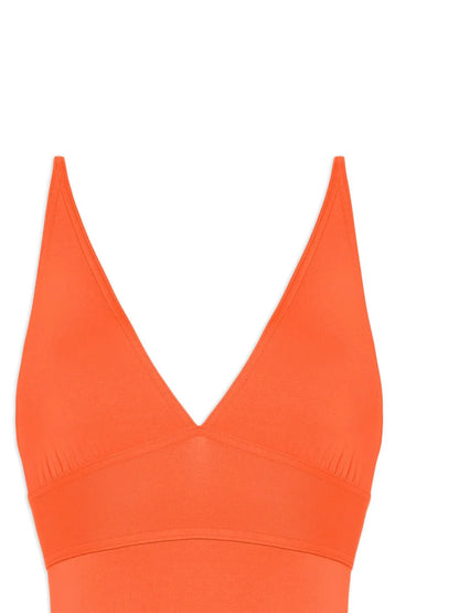 Larcin V-Neck Swimsuit