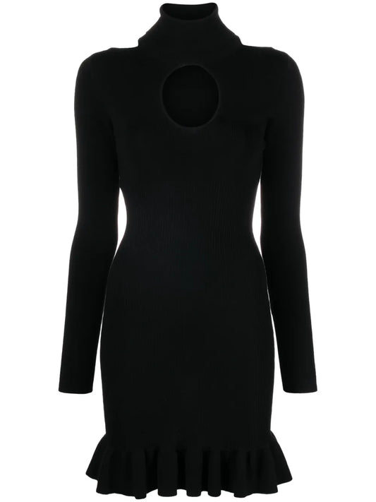 Love Birds-Plaque Ribbed-Knit Minidress