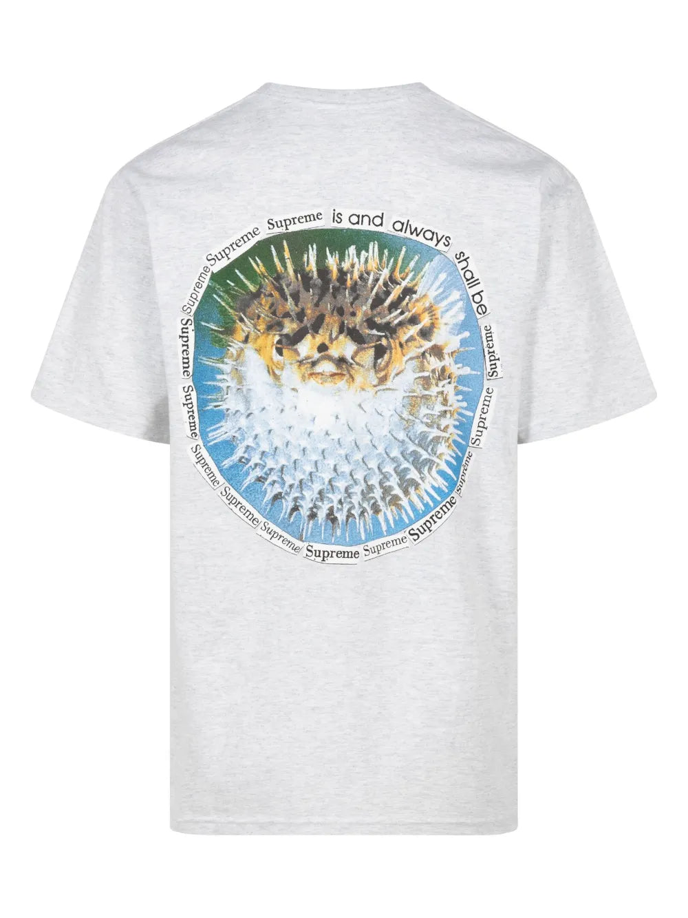Blowfish Cotton T-Shirt