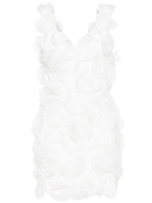 Lace-Appliqué Mini Dress