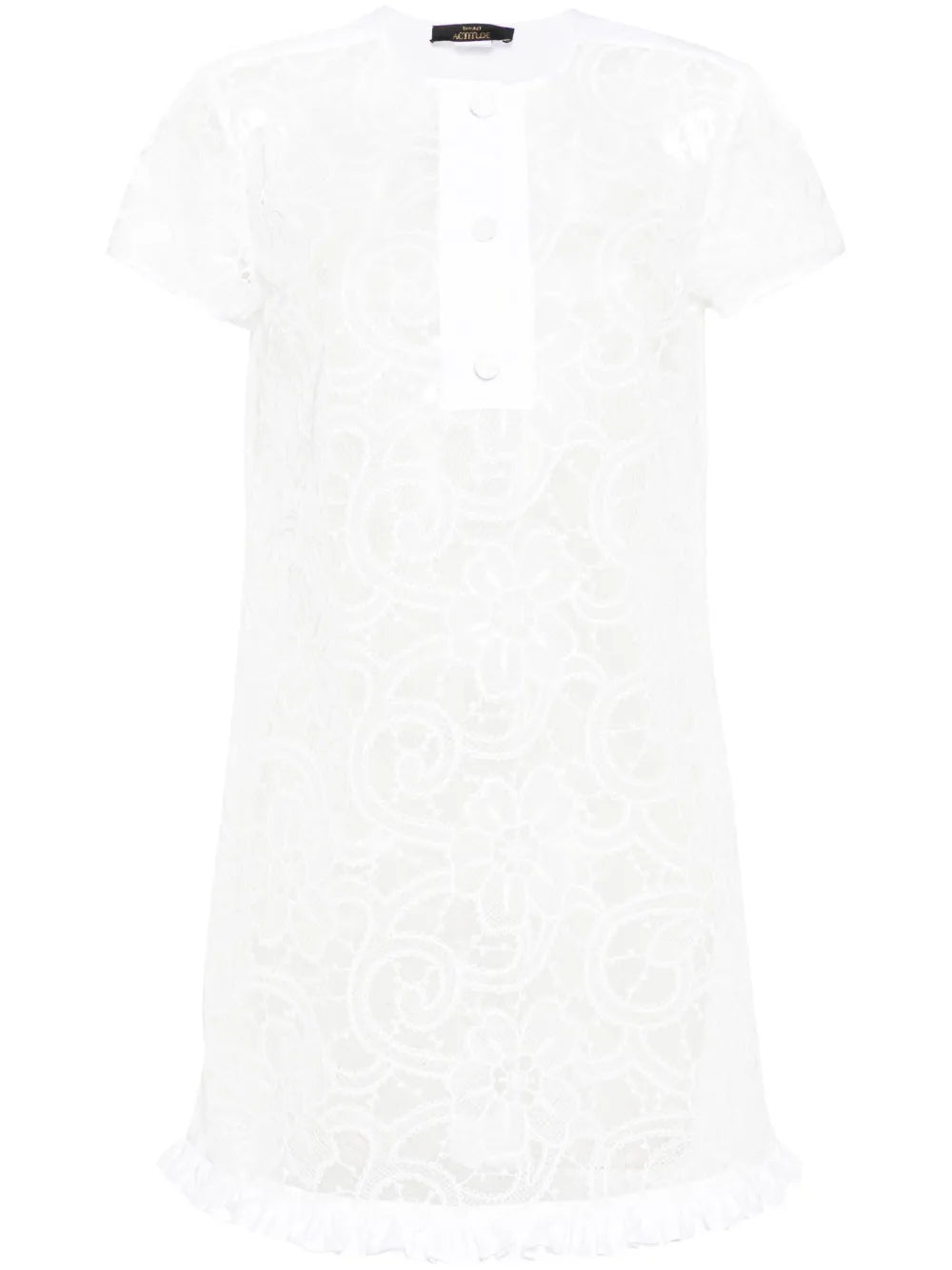 Floral-Embroidery Organza Mini Dress