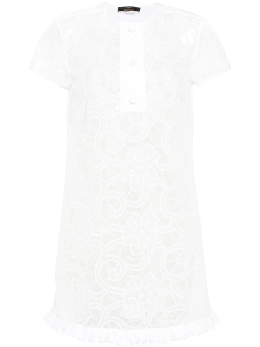 Floral-Embroidery Organza Mini Dress
