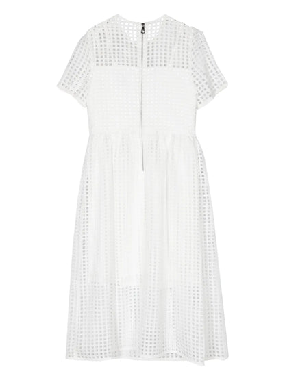 Mesh Flared Dress