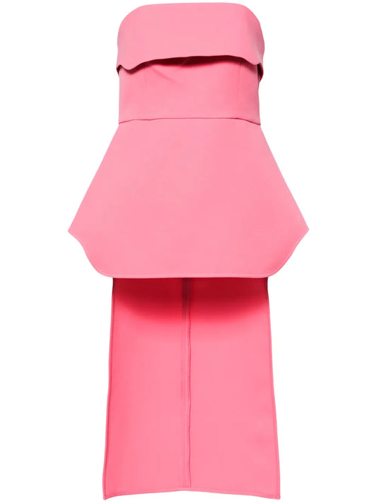 Akera Strapless Asymmetric Top