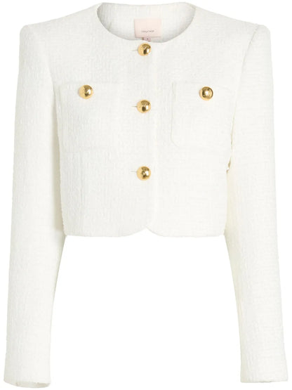 Auden Cropped Tweed Jacket