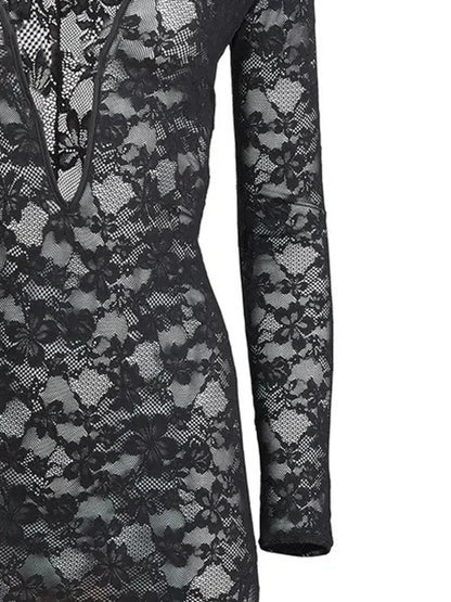 Le Stretch Lace Plunge Mini Dress