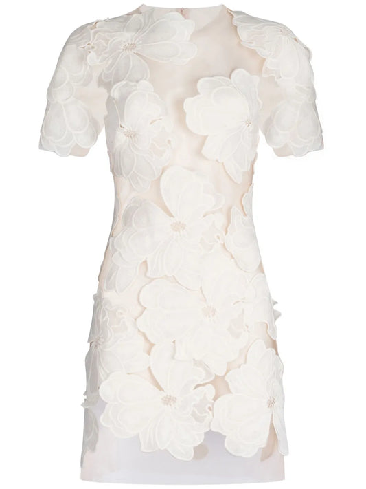 Hada Semi-Sheer Minidress