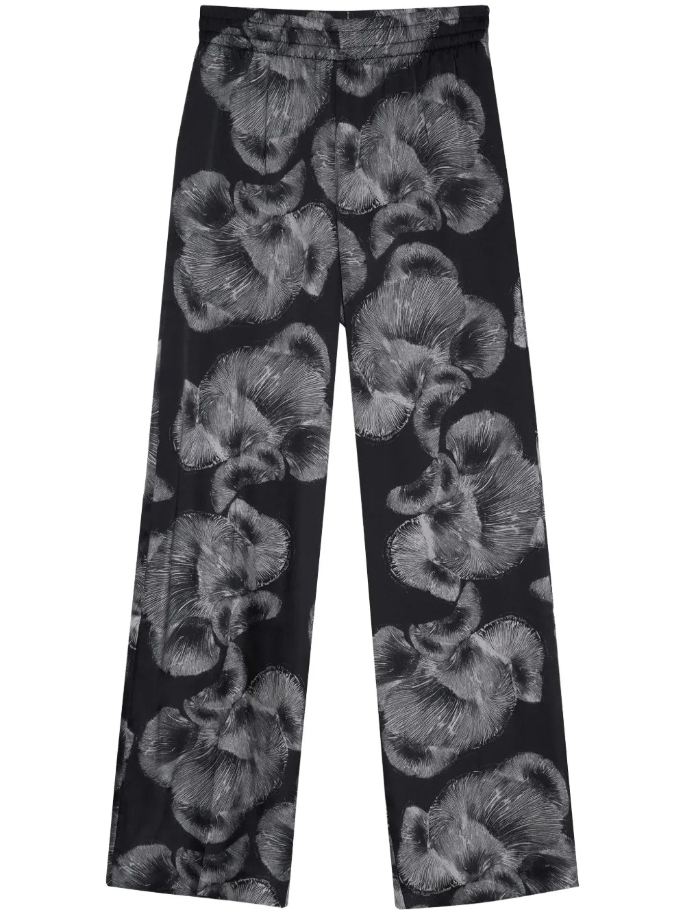 Soto Pant