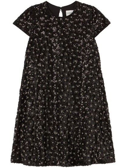 Embroidered Mini Dress