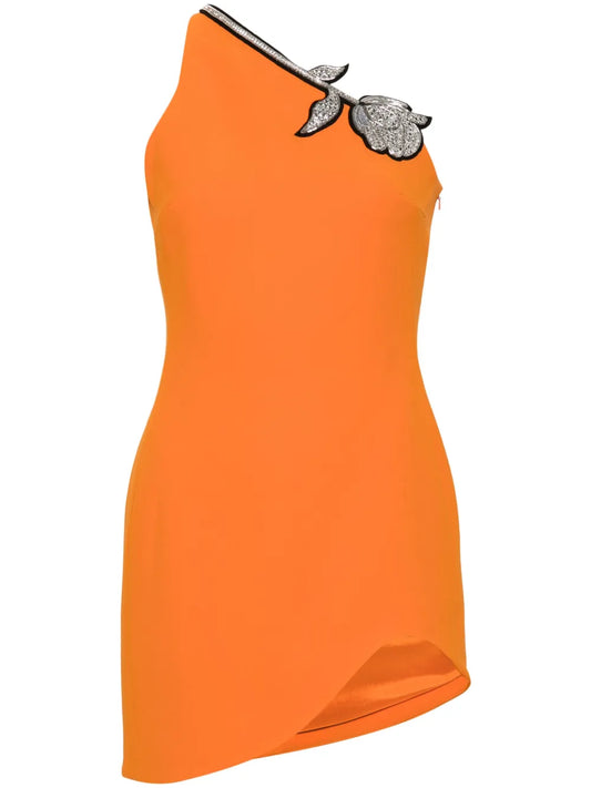 Floral-Appliqué Mini Dress