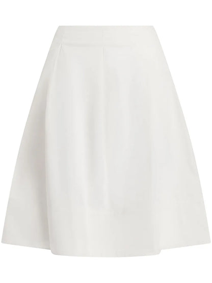 Pleated A-Line Skirt