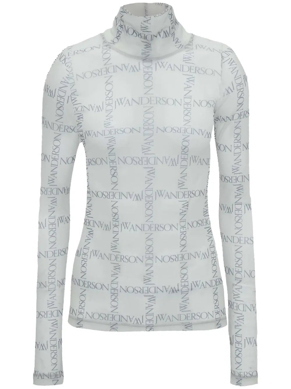 Sheer Turtleneck Top