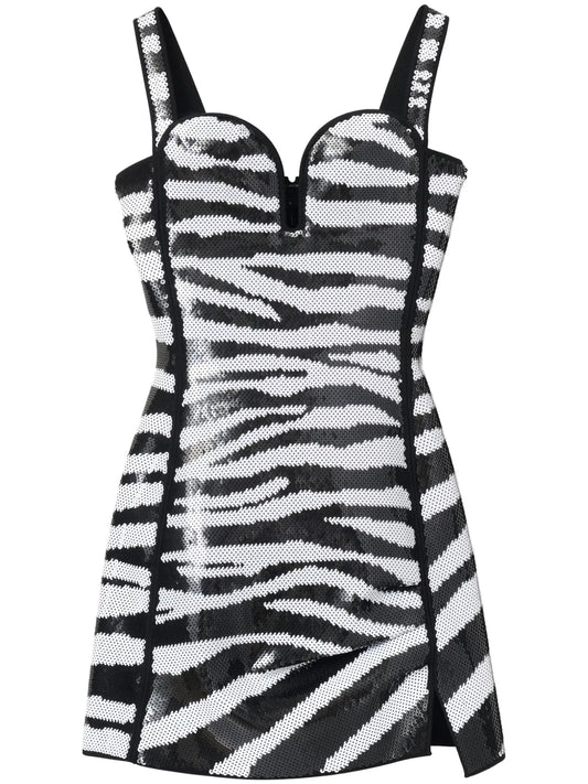 The Zebra Dress