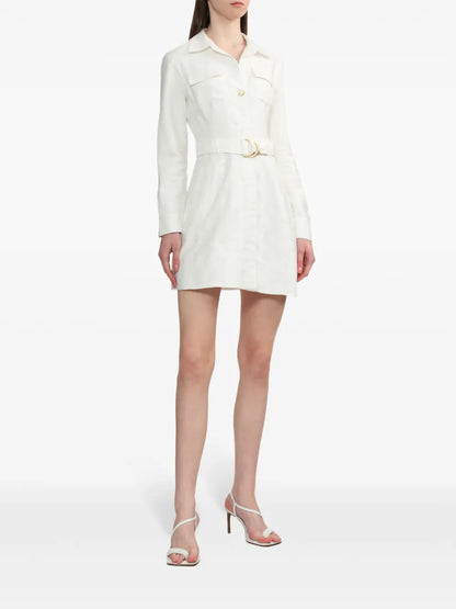Cohort Mini Dress