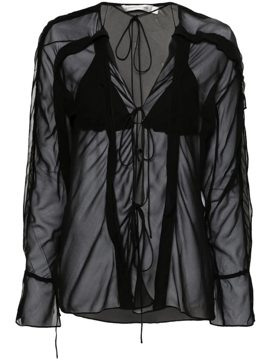 Sheer Silk Blouse