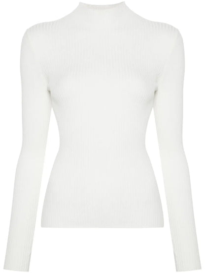 Ribbed Turtleneck Sweater