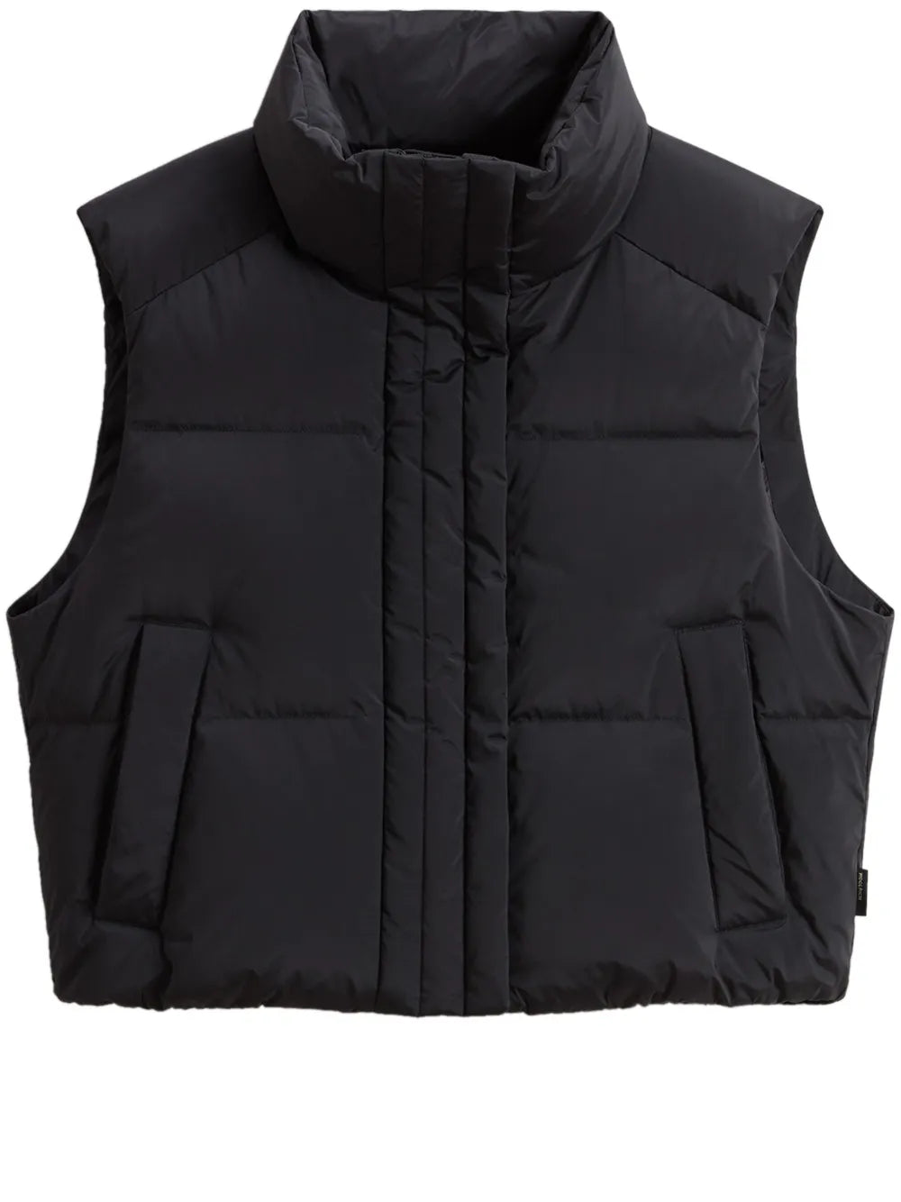 Alsea Vest