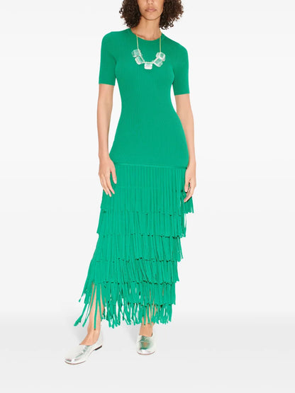 Za Za Fringed Dress