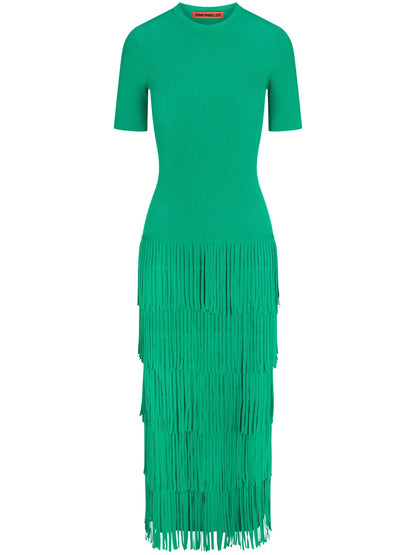 Za Za Fringed Dress