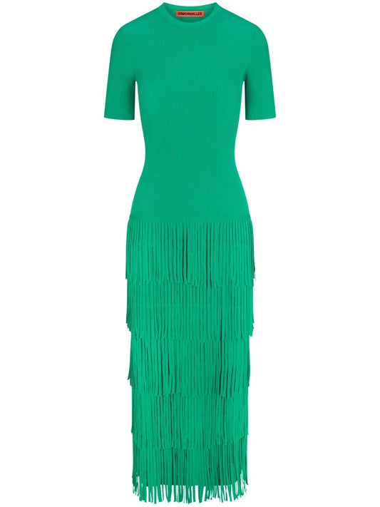 Za Za Fringed Dress