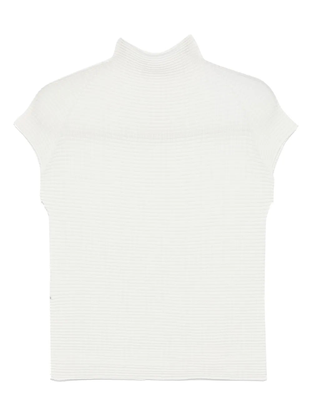 Wooly Pleats Top